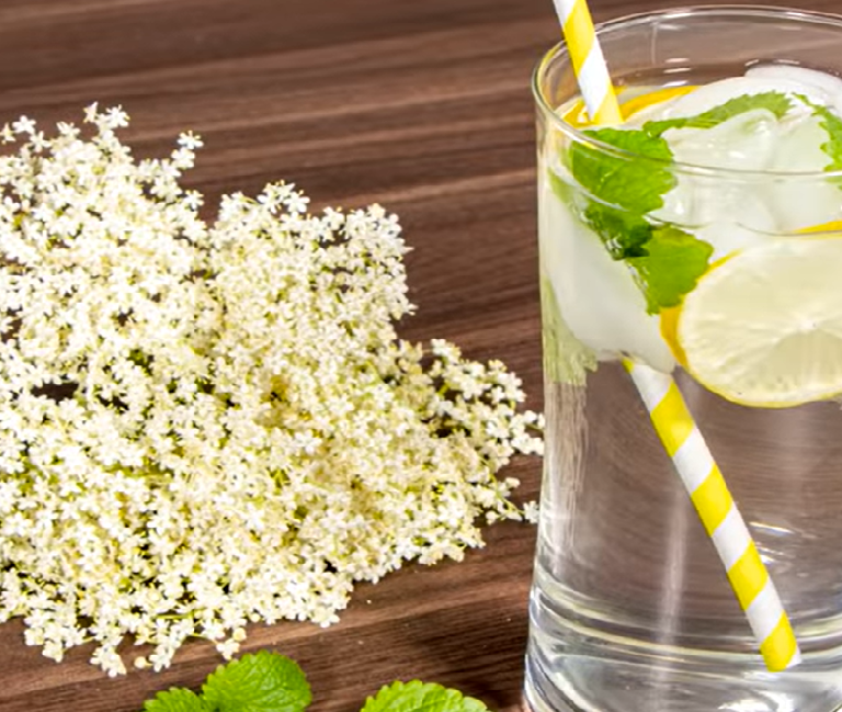 holunderblütensirup rezept landfrauen